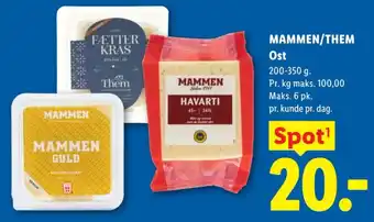 Mammen ost