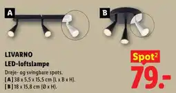 Lidl Livarno LED-loftslampe tilbud