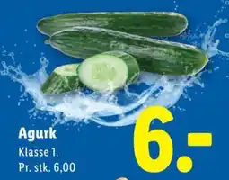 Lidl Agurk tilbud