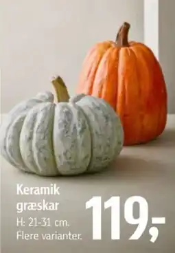 Føtex Keramik græskar tilbud
