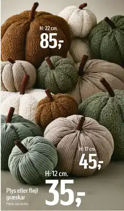 Føtex Plys eller fløjl græskar tilbud
