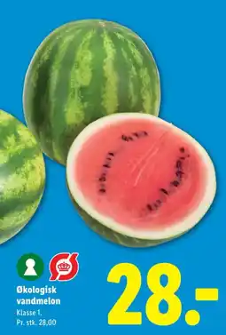 Lidl Økologisk vandmelon tilbud
