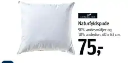 Føtex Nordisk Fjer Naturfyldspude tilbud