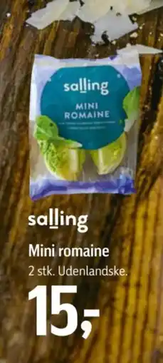 Føtex Salling mini romaine tilbud
