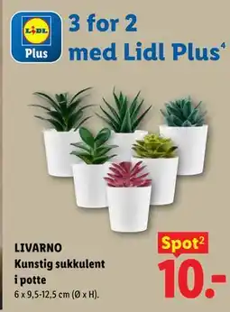Lidl LIVARNO Kunstig sukkulent i potte tilbud