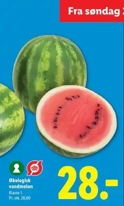 Lidl Økologisk vandmelon tilbud
