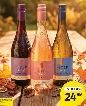 Fakta Tyskland Peter Bott tilbud