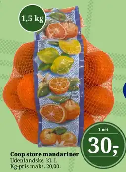 Dagli'Brugsen Coop store mandariner tilbud