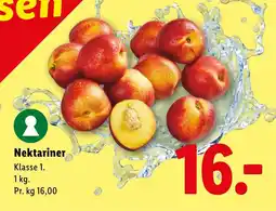Lidl Nektariner tilbud