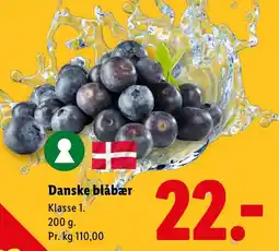 Lidl Blåbær tilbud