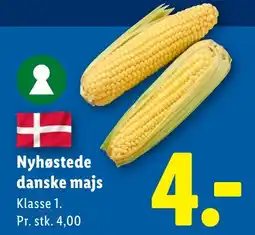 Lidl Majs tilbud