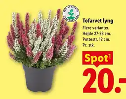 Lidl Tofarvet lyng tilbud
