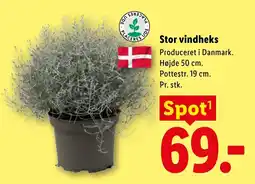 Lidl Stor vindheks tilbud