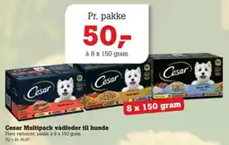 Poetzsch Padborg Cesar Multipack vådfoder til hunde tilbud