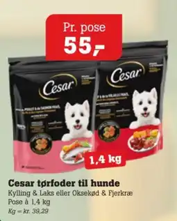 Poetzsch Padborg Cesar tørfoder til hunde tilbud