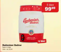 Poetzsch Padborg Budweiser Budvar tilbud