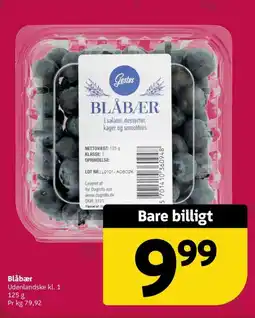 Løvbjerg Gestus Blåbær tilbud