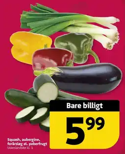 Løvbjerg Squash, aubergine, forårsløg el. peberfrugt tilbud