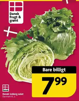 Løvbjerg Iceberg salat tilbud
