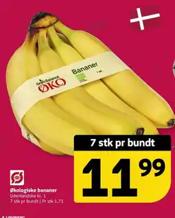 Løvbjerg ØKO bananer tilbud