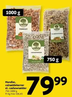 Løvbjerg Quality Farms mandler, valnøddekerner el. cashewnødder tilbud