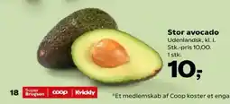 Kvickly Stor avocado tilbud