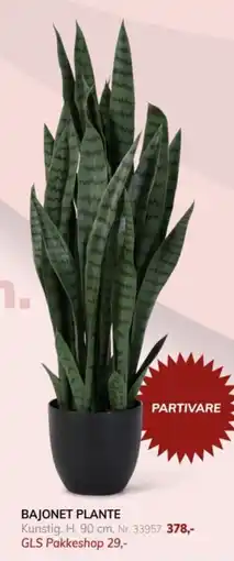 Daells Bolighus Bajonet Plante tilbud