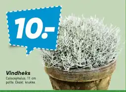 Bilka Vindheks tilbud