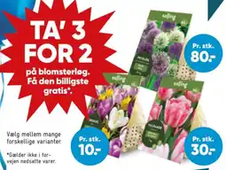 Bilka Salling blomsterløg tilbud