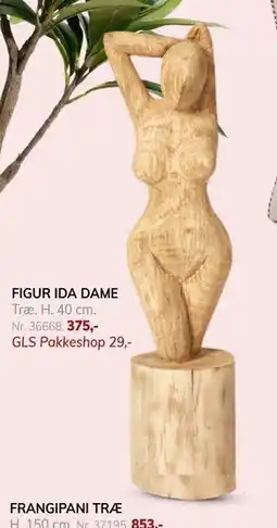 Daells Bolighus FIGUR IDA DAME tilbud