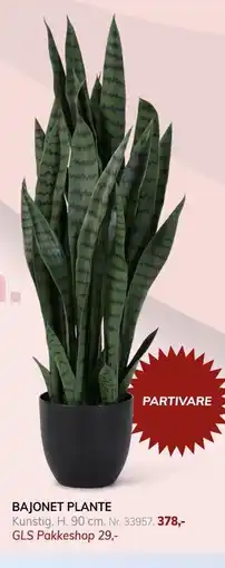 Daells Bolighus BAJONET PLANTE tilbud