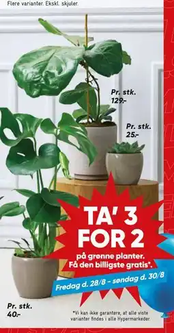 Bilka TA’ 3 FOR 2 på grønne planter. Få den billigste gratis tilbud