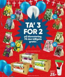 Bilka TA’ 3 FOR 2 på blomsterløg tilbud