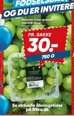 Bilka Autumn Crisp grønne stenfrie druer tilbud