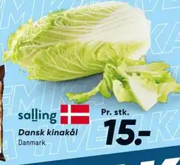 Bilka Dansk kinakål tilbud