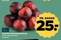 Netto Premieur blommeabrikoser tilbud