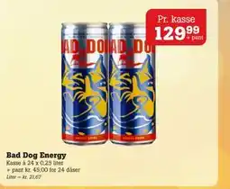 Poetzsch Padborg Bad Dog Energy tilbud