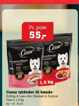Poetzsch Padborg Cesar tørfoder til hunde tilbud