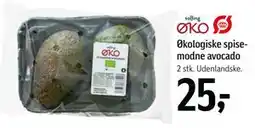 Føtex Økologiske spisemodne avocado tilbud