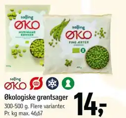 Føtex Økologiske grøntsager tilbud