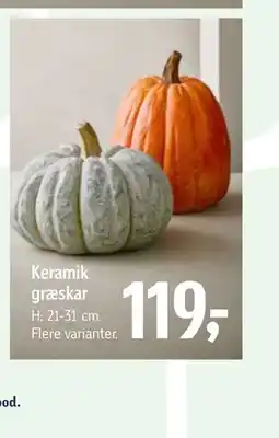 Føtex Keramik græskar tilbud