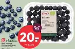 SPAR Grøn Balance Økologiske Blåbær tilbud