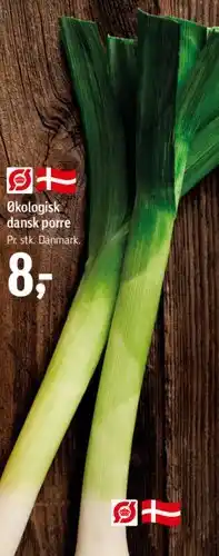Føtex Økologisk dansk porre tilbud