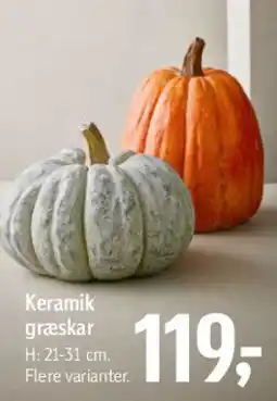 Føtex Keramik græskar tilbud