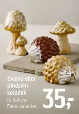 Føtex Svamp eller pindsvin keramik tilbud