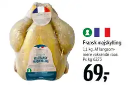 Føtex Fransk majskylling tilbud