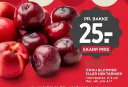 MENY OMHU BLOMMER ELLER NEKTARINER tilbud