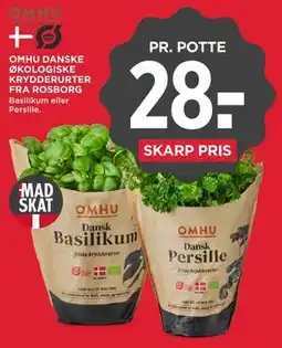 MENY OMHU DANSKE ØKOLOGISKE KRYDDERURTER FRA ROSBORG tilbud
