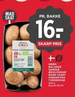 MENY GRØN BALANCE DANSKE ØKOLOGISKE MARK CHAMPIGNON FRA TVEDEMOSE tilbud