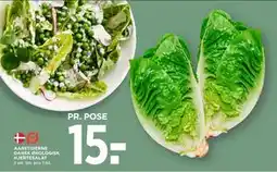 MENY AARSTIDERNE DANSK ØKOLOGISK HJERTESALAT tilbud
